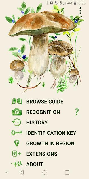 Mushrooms-app-1.jpg