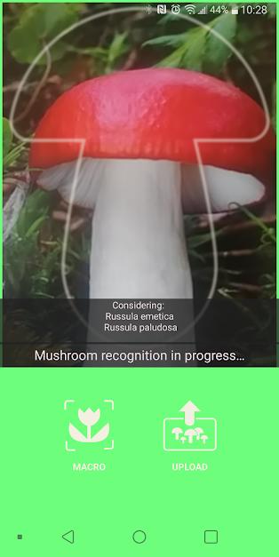 Mushrooms-app-3.jpg