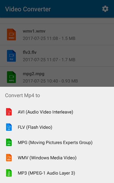 Video-Converter-MP3-AVI-MPEG-GIF-FLV-WMV-MP4-2.jpg