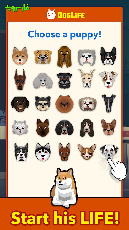 DogLife-BitLife-Dogs-1.jpg