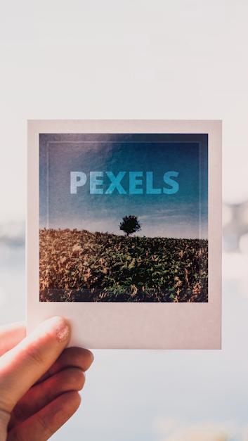 Pexels-1.jpg