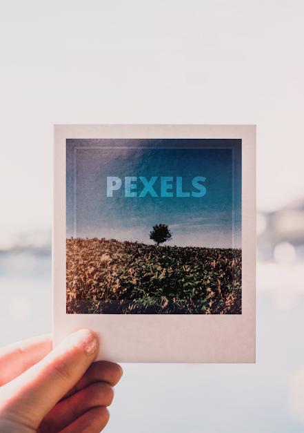 Pexels-8.jpg