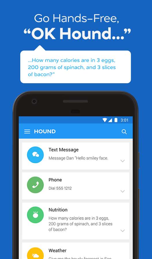 HOUND-Voice-Search-Assistant.3.jpg