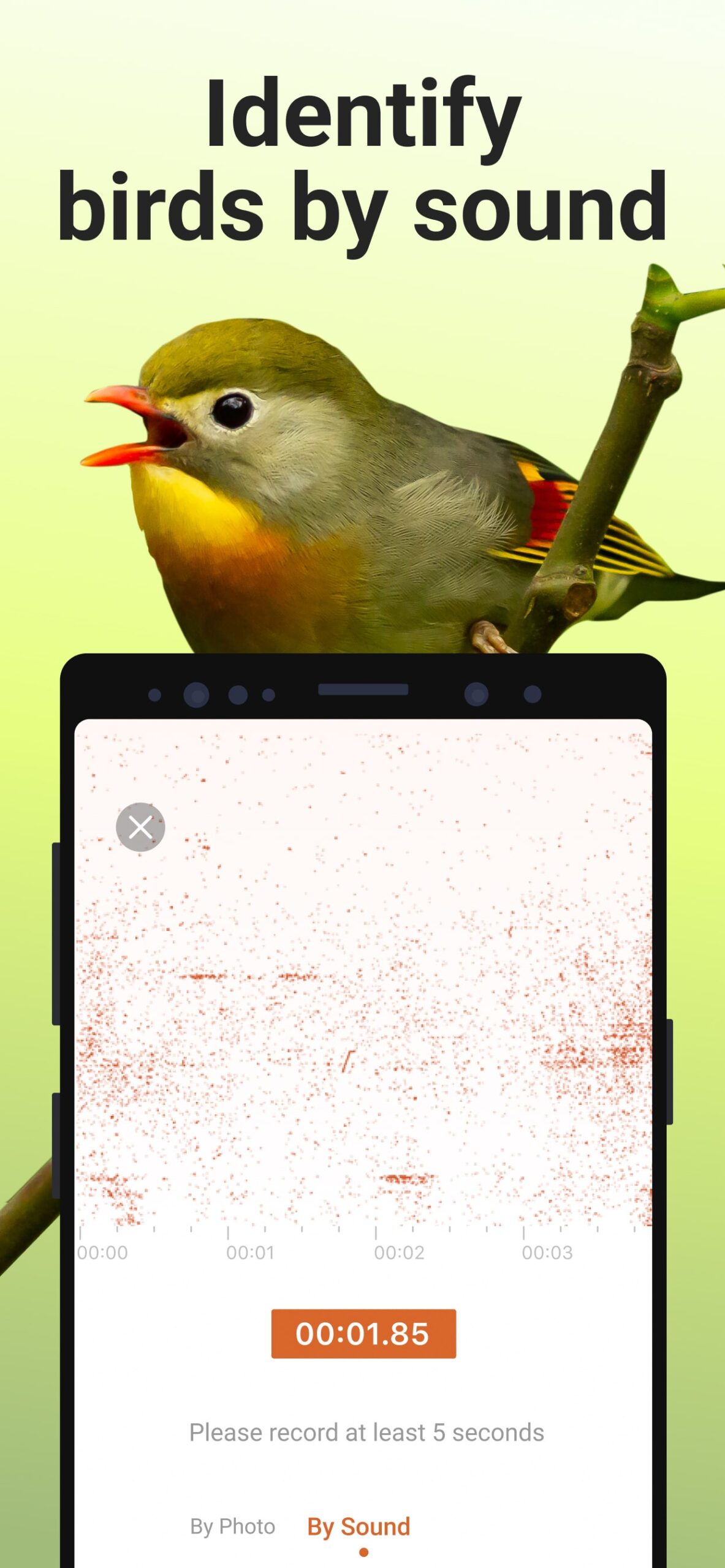 Picture-Bird-Bird-Identifier-3-scaled.jpg