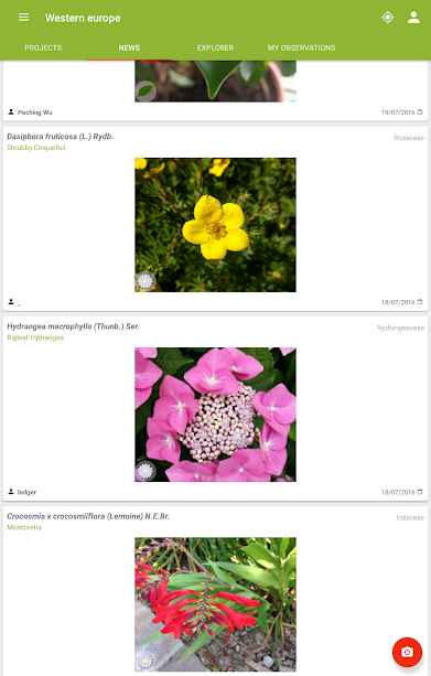 PlantNet-Plant-Identification.6.jpg